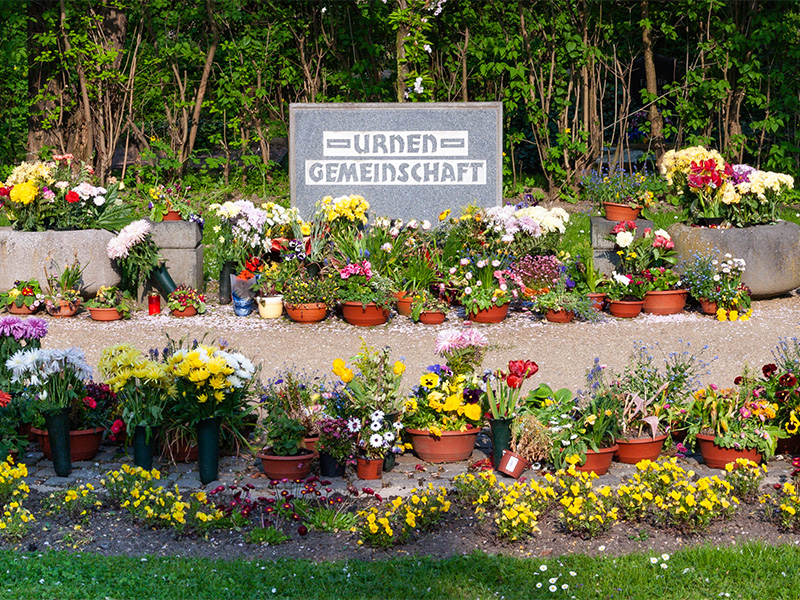 Urnengemeinschaftsgrab auf einem Friedhof mit mehreren Grabstellen bei einer Urnenbestattung in gepflegter Umgebung.